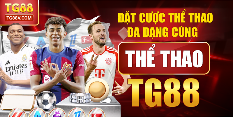 Đặt cược thể thao đa dạng cùng Thể Thao TG88.